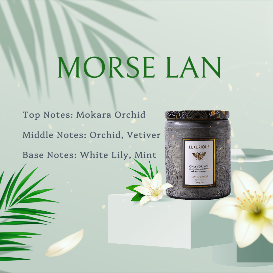 MORSE LAN