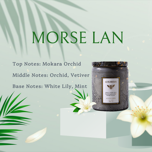 MORSE LAN